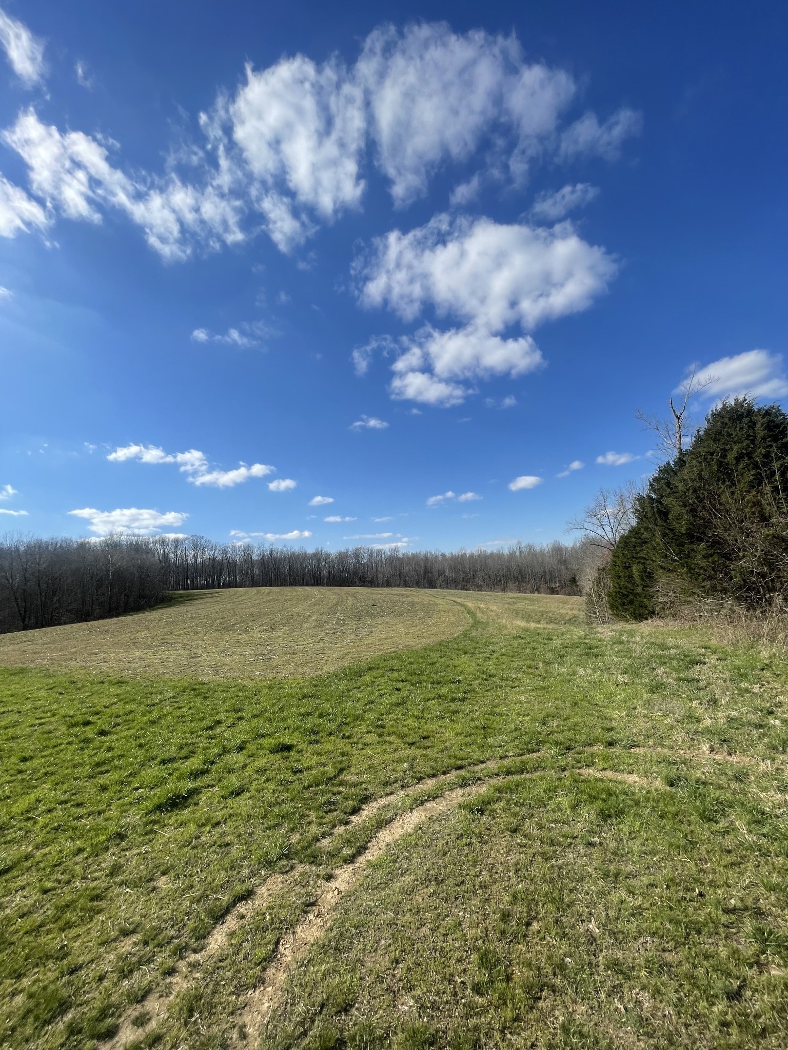 0 California Branch Road Westpoint, TN 38486 - Photo 6 of 9 a view of an ocean and beach