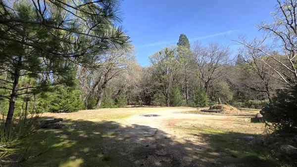 a view of outdoor space with trees