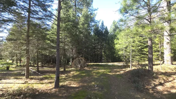 $359,999 | 14163 Jokers Wild Lane, Grass Valley, CA 95945