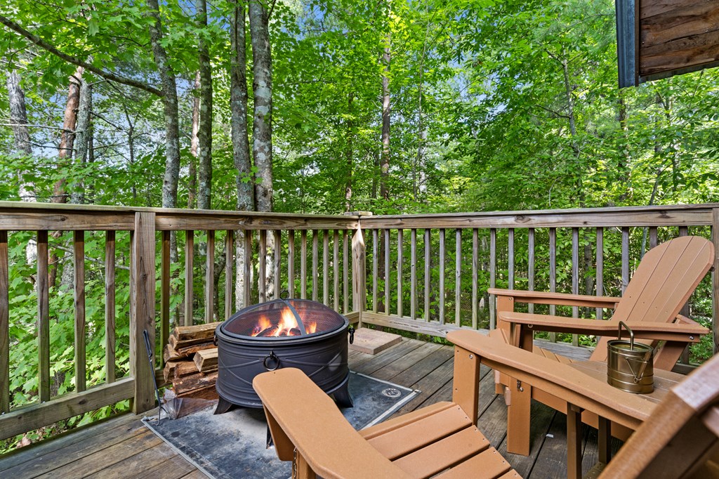 120 Community Hill Drive Blue Ridge, GA 30513 - Photo 43 of 58 Gallery Image 43