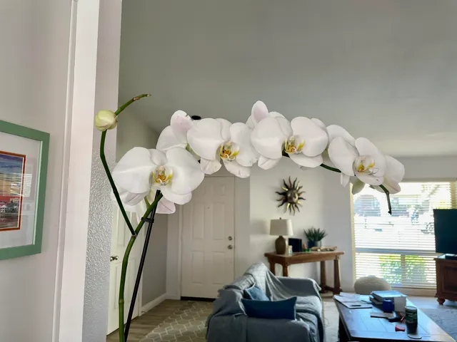 $3,500 | 43622 Warner Trail, Palm Desert, CA 92211