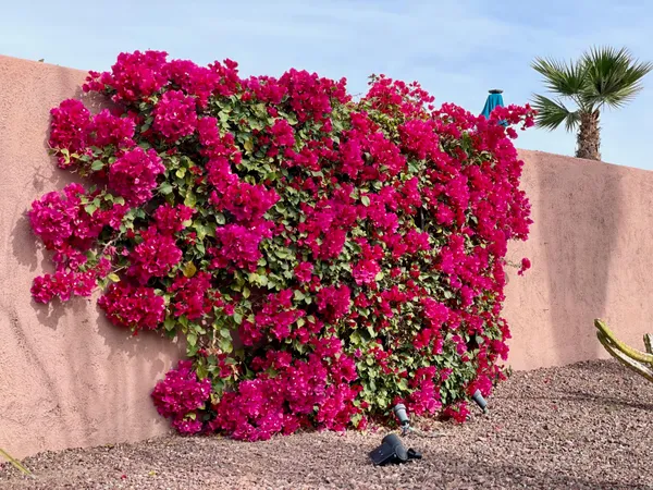 $3,500 | 43622 Warner Trail, Palm Desert, CA 92211