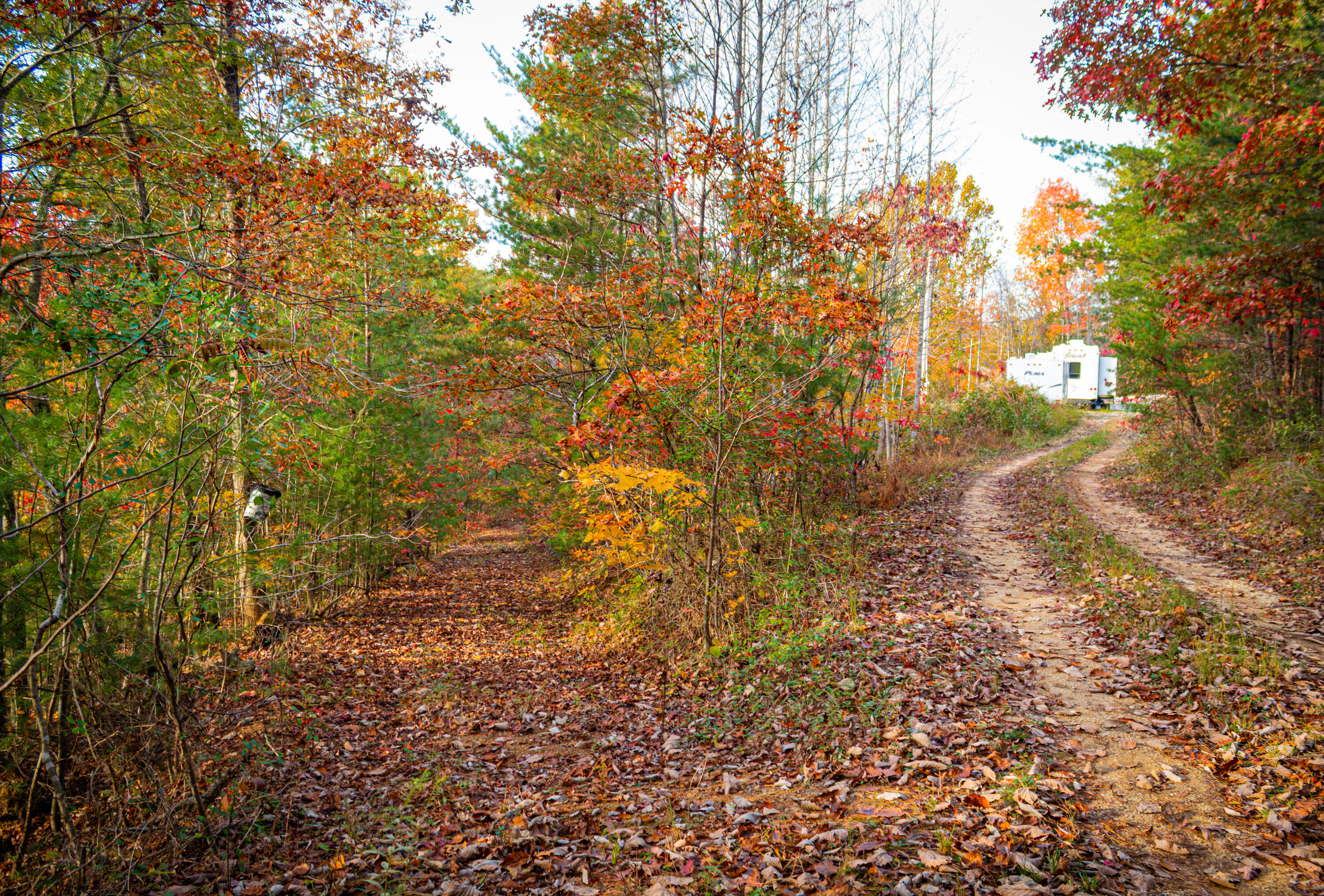 1788 Calaboose-Rocky Branch Road Campton, KY 41301 - Photo 5 of 9 G7