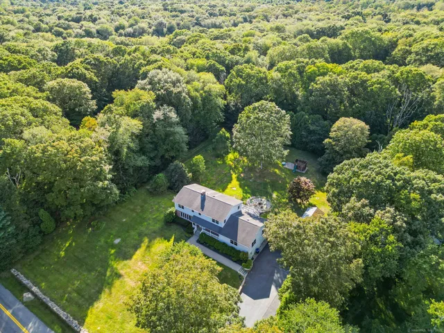 view of a garden with plants