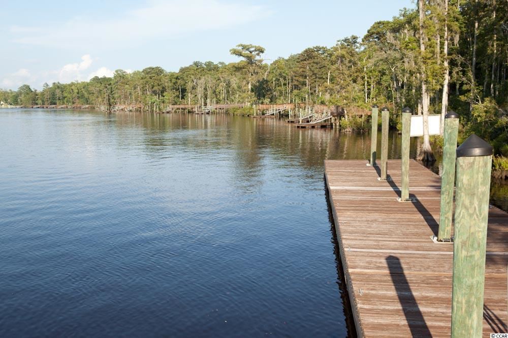 Lot 542 Chamberlin Road Myrtle Beach, SC 29588 - Photo 3 of 20 Gallery Image 3