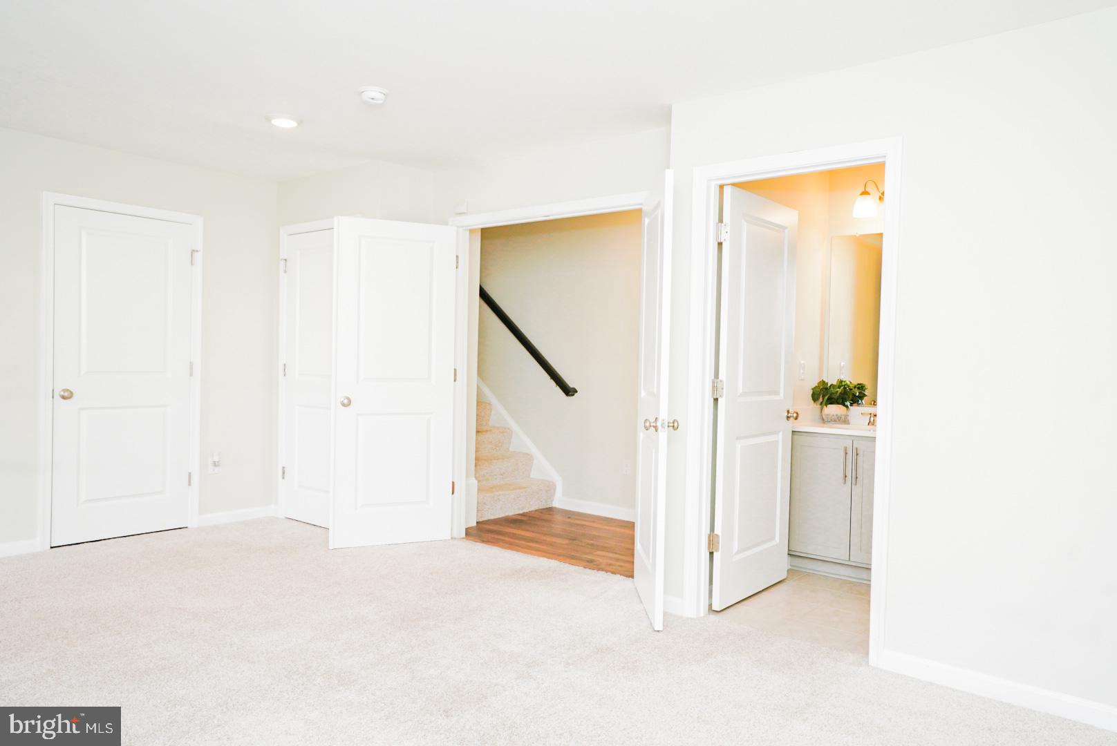 2109 Ruby Turn Bowie, MD 20721 - Photo 44 of 63 Basement En-Suite