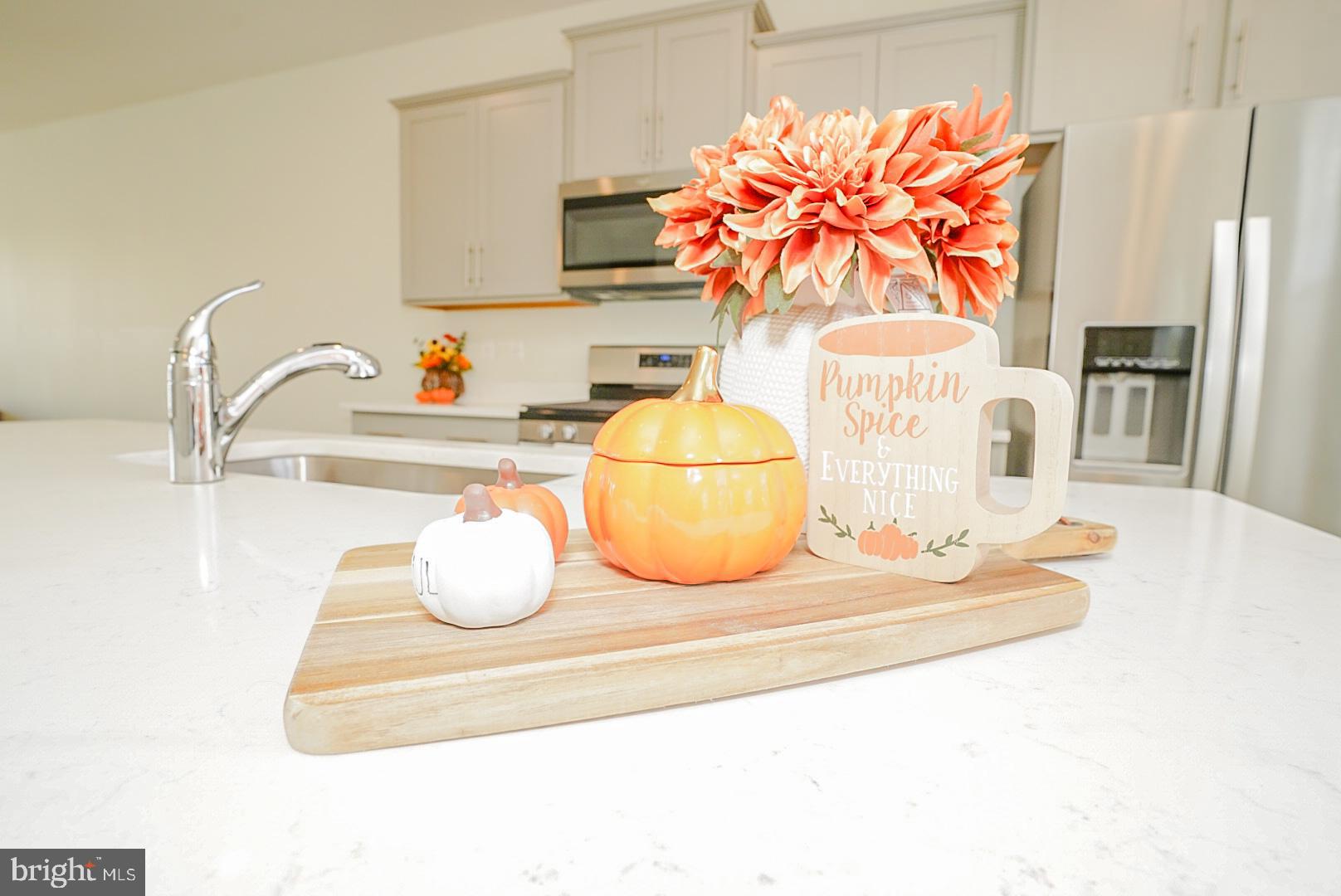 2109 Ruby Turn Bowie, MD 20721 - Photo 10 of 63 Granite Counters