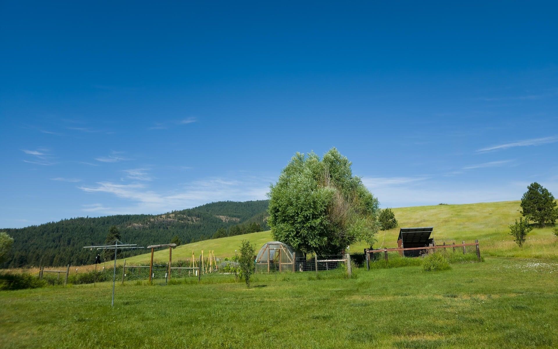 1239 Kewa-Meteor Road Inchelium, WA 99138 - Photo 21 of 38