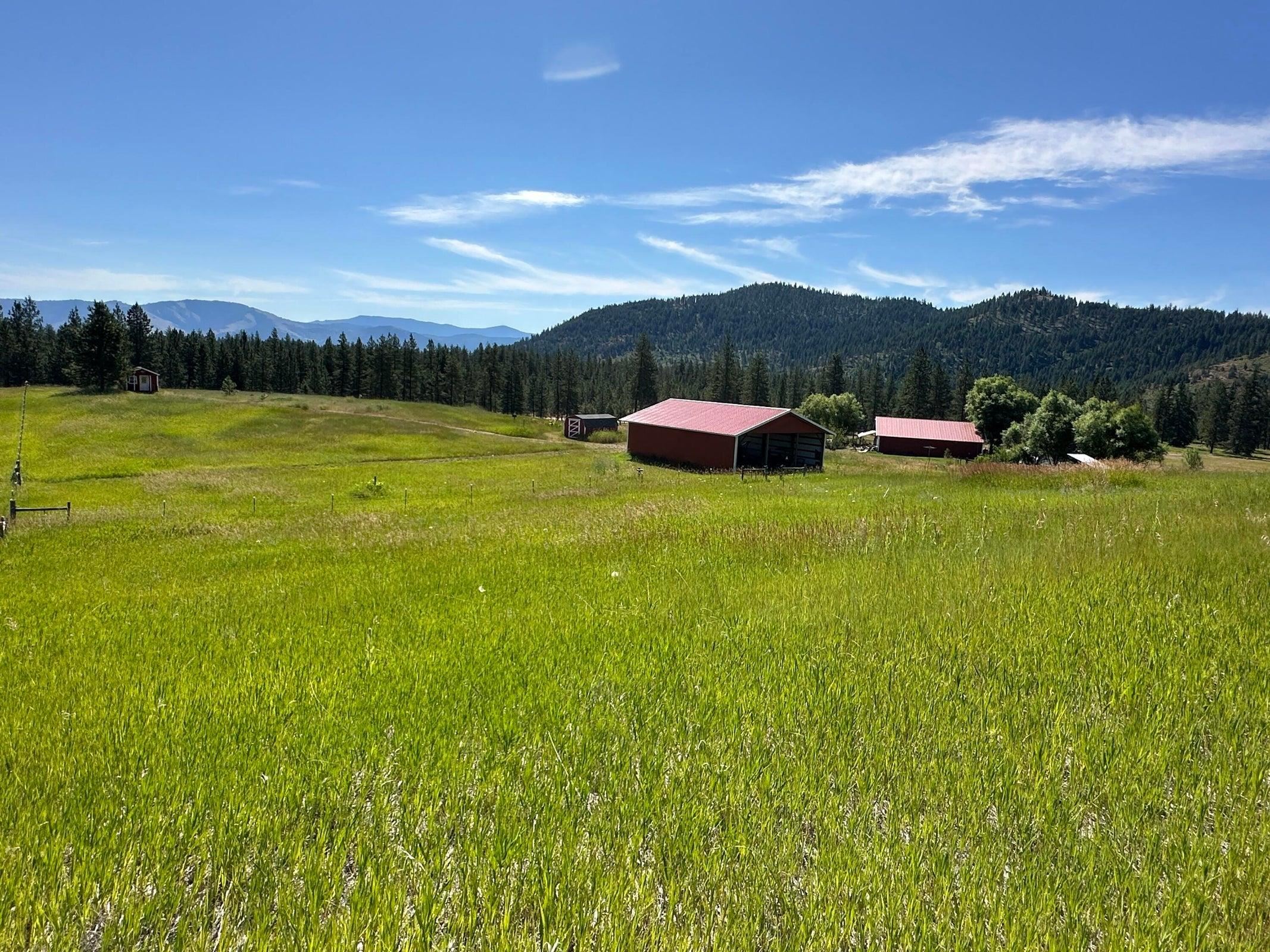 1239 Kewa-Meteor Road Inchelium, WA 99138 - Photo 34 of 38