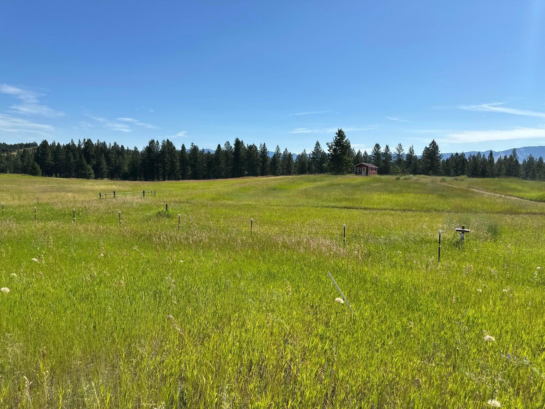 1239 Kewa-Meteor Road Inchelium, WA 99138 - Photo 36 of 38