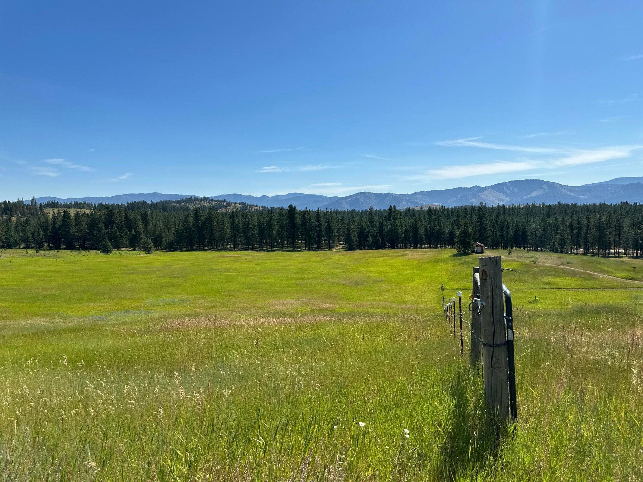 1239 Kewa-Meteor Road Inchelium, WA 99138 - Photo 37 of 38