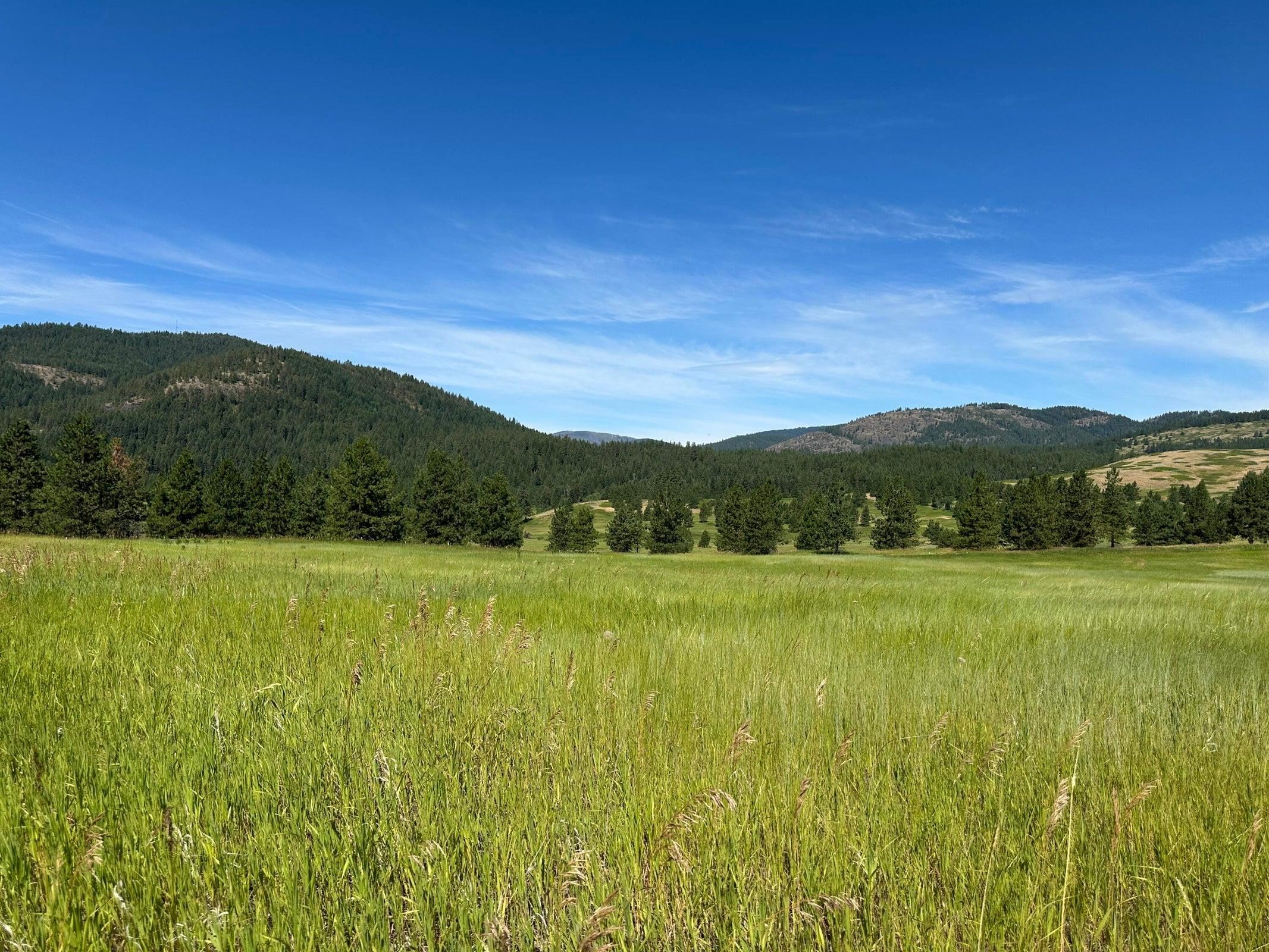 1239 Kewa-Meteor Road Inchelium, WA 99138 - Photo 38 of 38