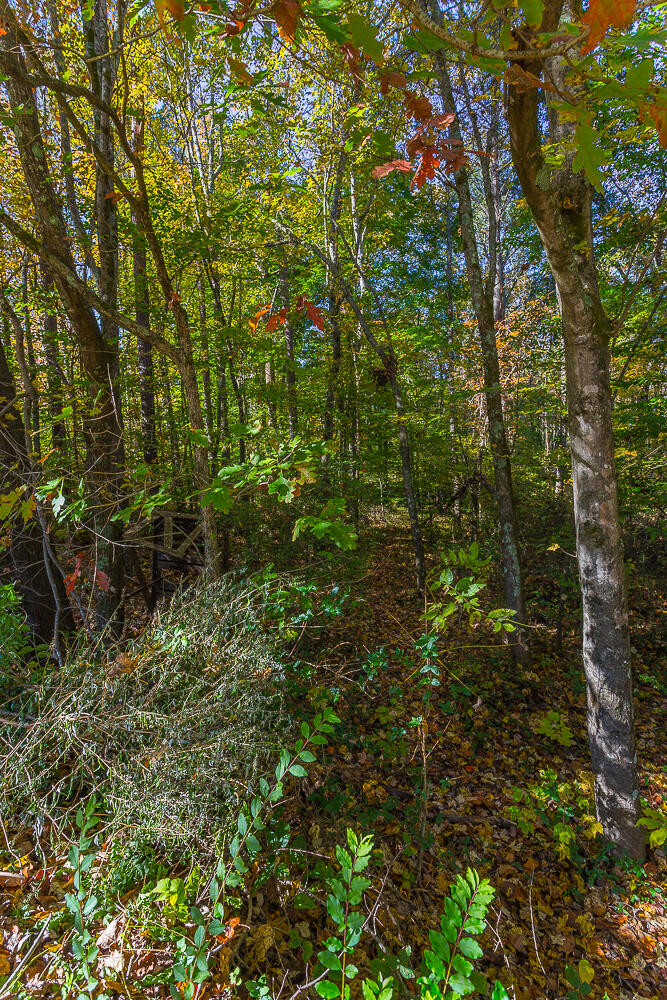 322 Indian Mound Road Ringgold, GA 30736 - Photo 46 of 126 338 Indian Mound HD -12