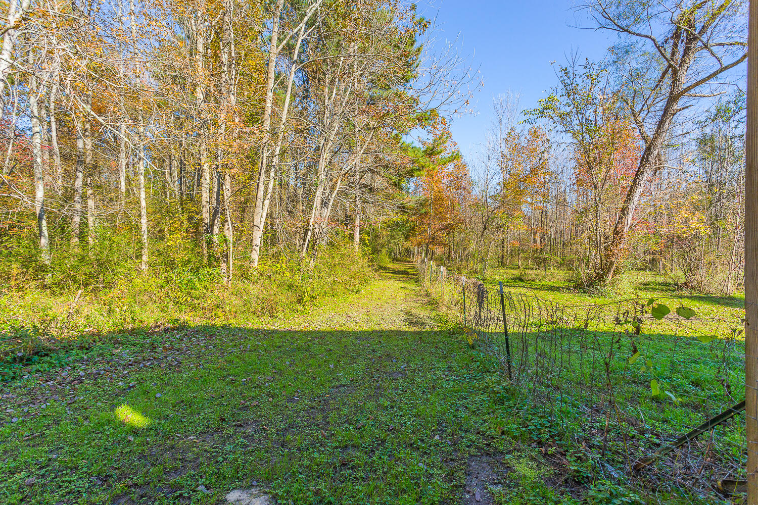 322 Indian Mound Road Ringgold, GA 30736 - Photo 52 of 126 338 Indian Mound HD -18