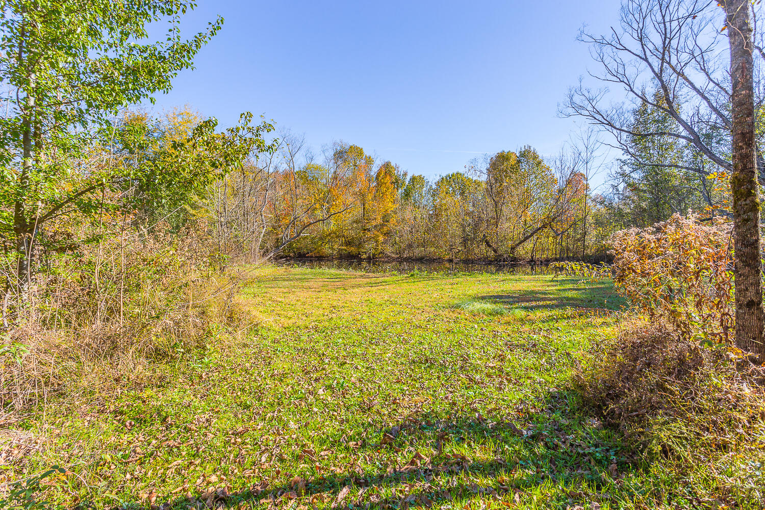 322 Indian Mound Road Ringgold, GA 30736 - Photo 54 of 126 338 Indian Mound HD -20
