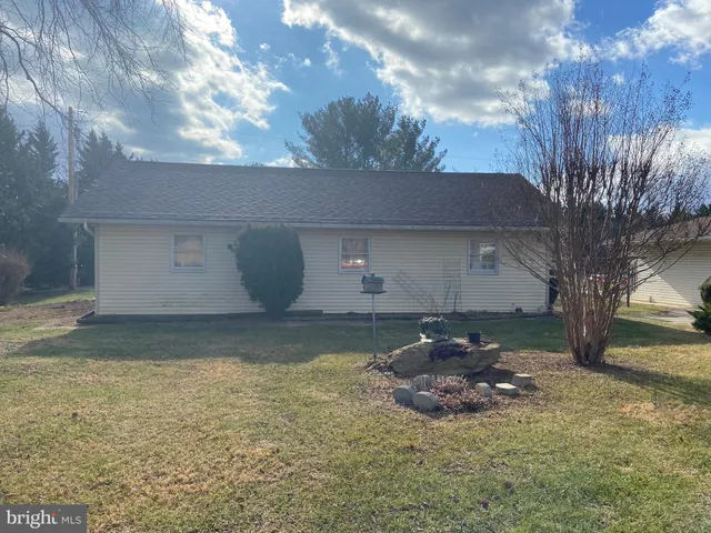 a view of a yard with potted plants and large trees