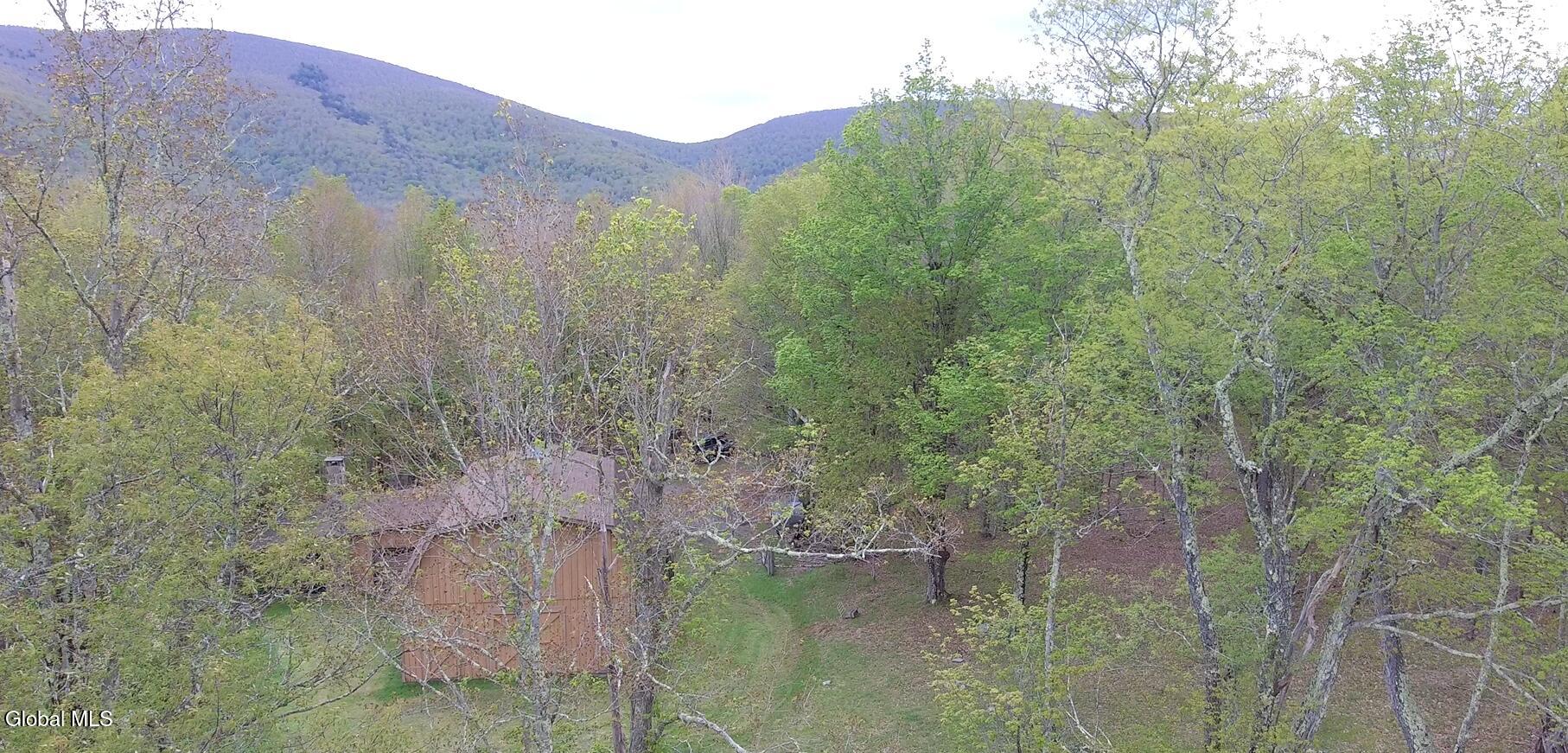 184 Cloos Road Hunter, NY 12442 - Photo 77 of 77 Screenshot (1049)