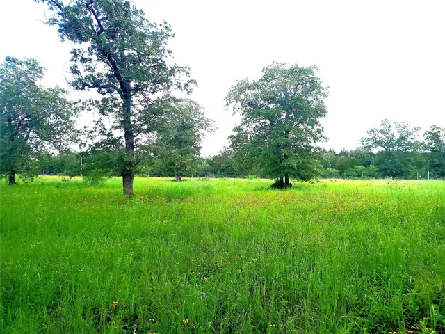 a view of a green field with wooden fence