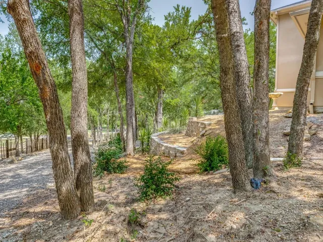a view of a yard with trees