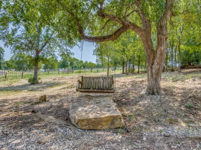 a view of a yard with a tree