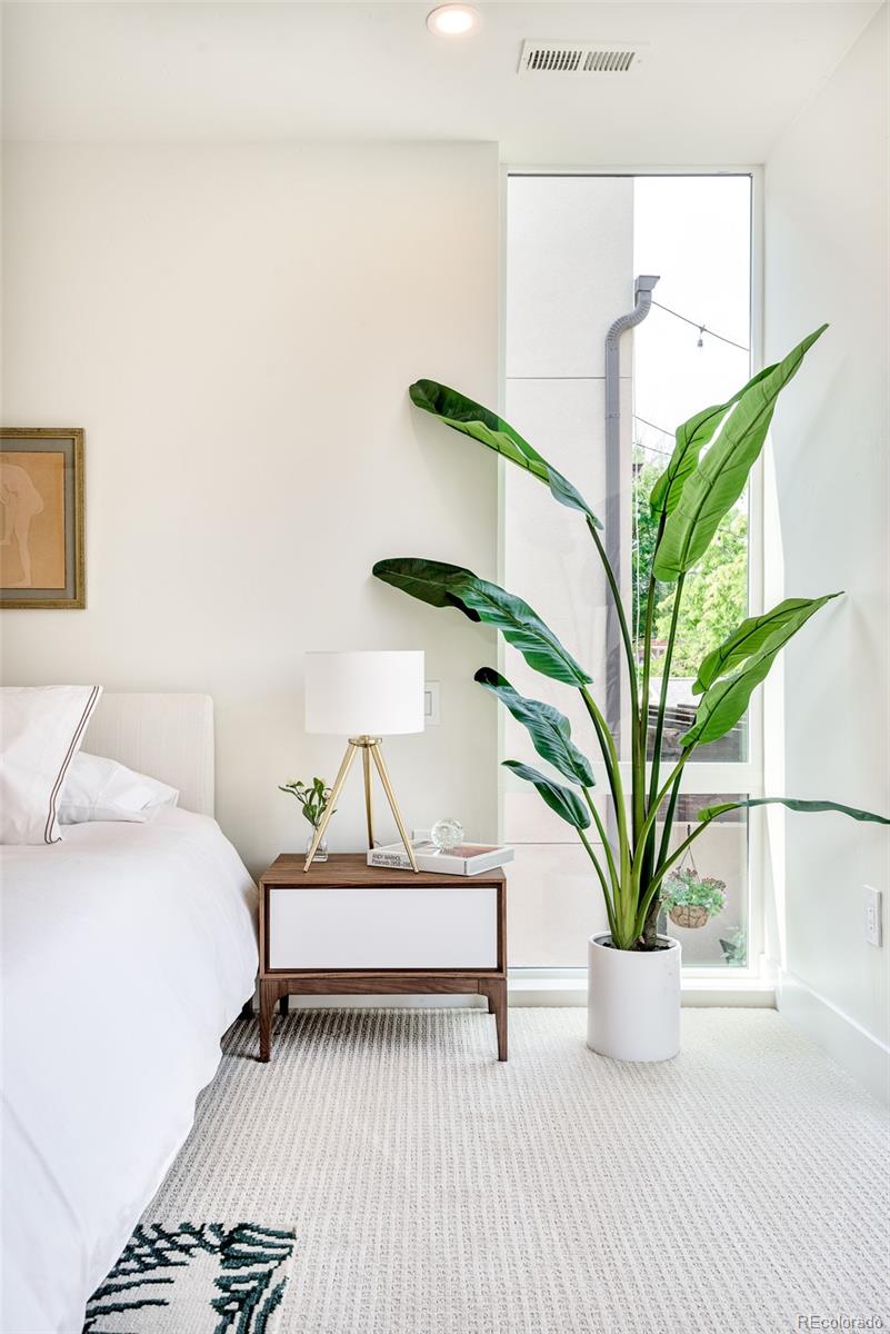 3865 Stuart Street Denver, CO 80212 - Photo 18 of 32 a living room with a potted plant and a rug