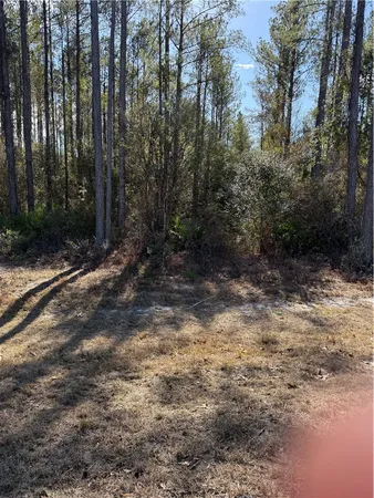$17,500 | 25 Heritage Circle, Hortense, GA 31543