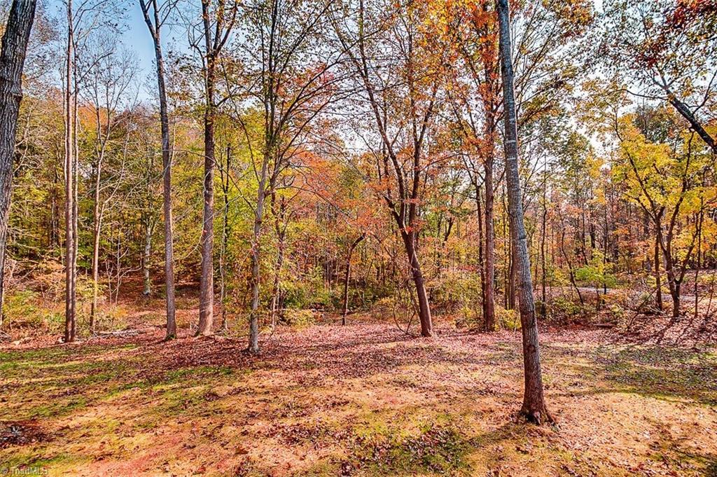 3085 Trotter Road Asheboro, NC 27205 - Photo 26 of 30 Gallery Image 26
