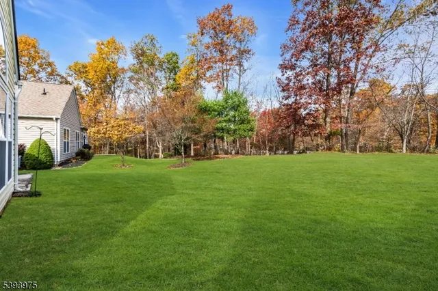 a backyard of a house with plants and large tree