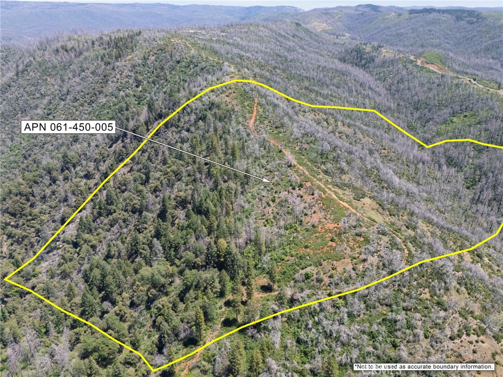 0 Stephens Ridge Road Berry Creek, CA 95916 - Photo 3 of 8