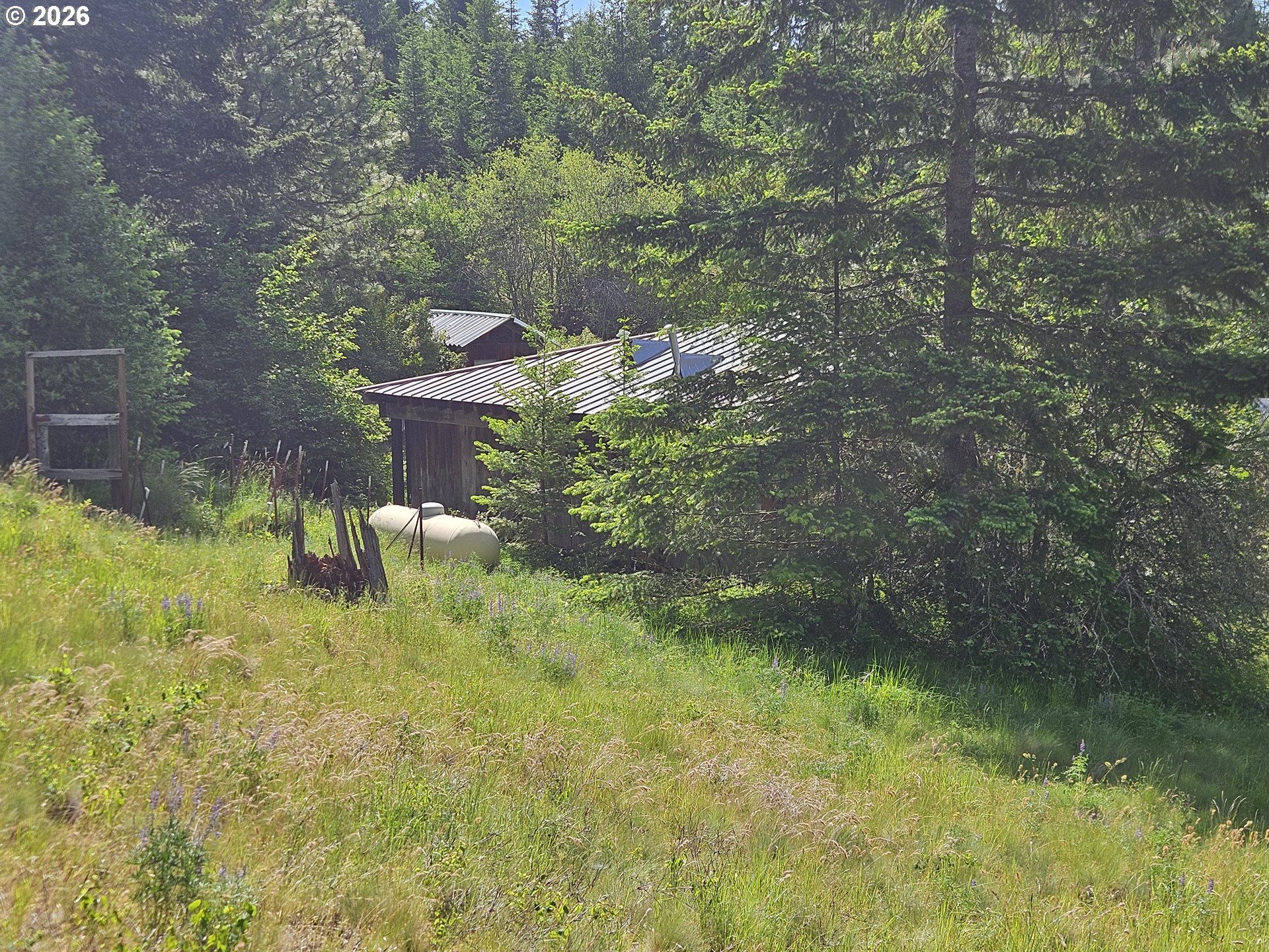983 Snowden Road White Salmon, WA 98672 - Photo 4 of 22 a backyard of a house with lots of green space