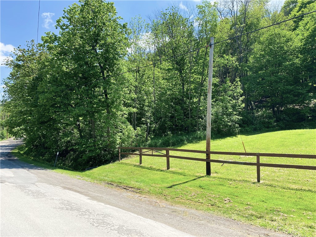 4880 Deusenberry Road Cohocton, NY 14826 - Photo 12 of 25
