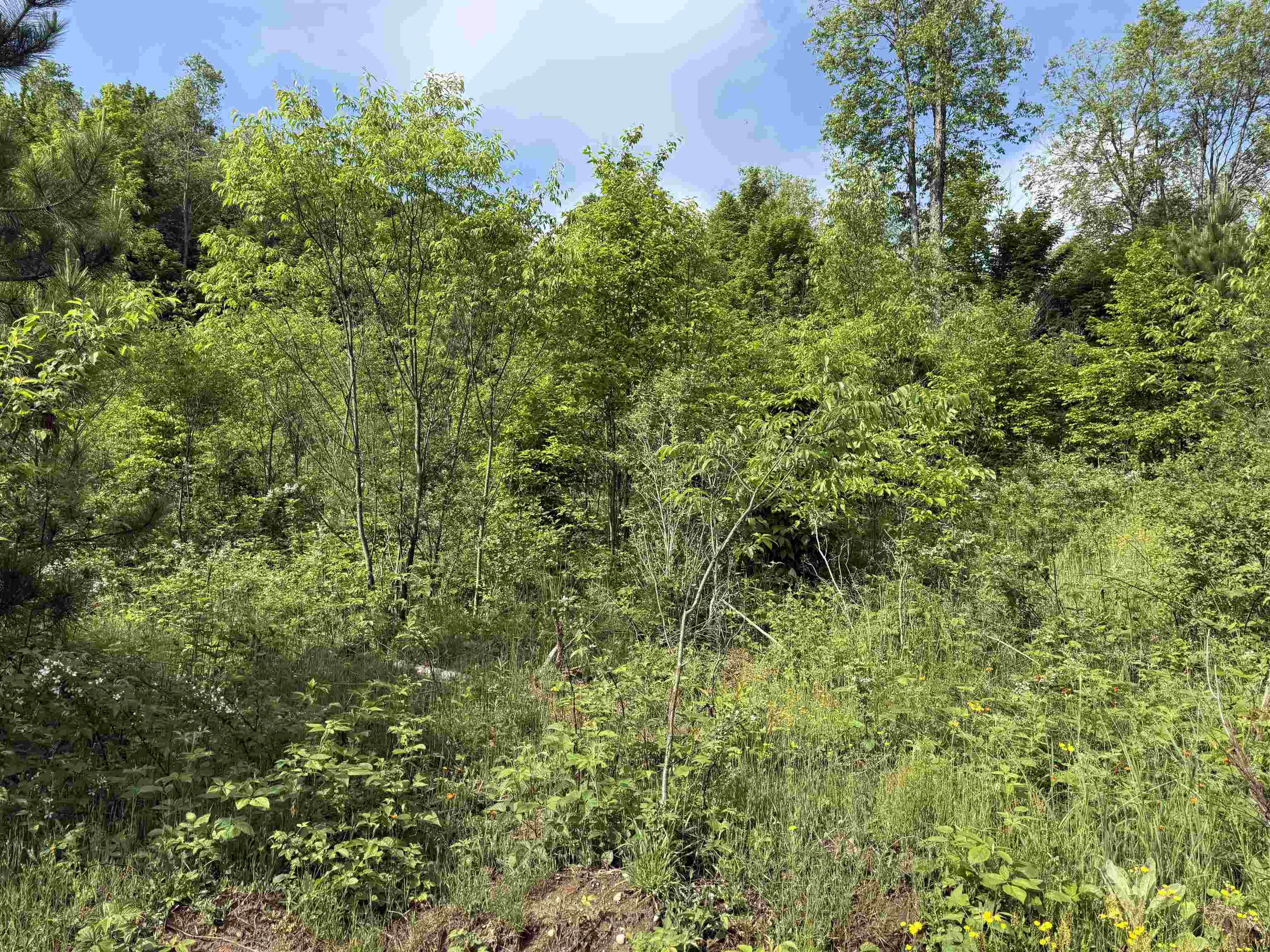 A4 East Kasson Road Traverse City, MI 49684 - Photo 4 of 12