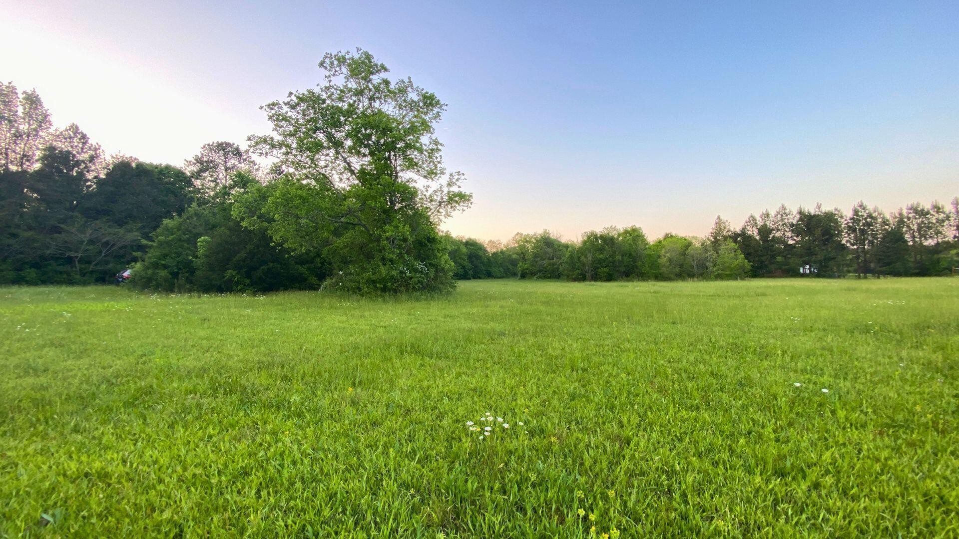 0 Thomas Road Benton, TN 37307 - Photo 15 of 16