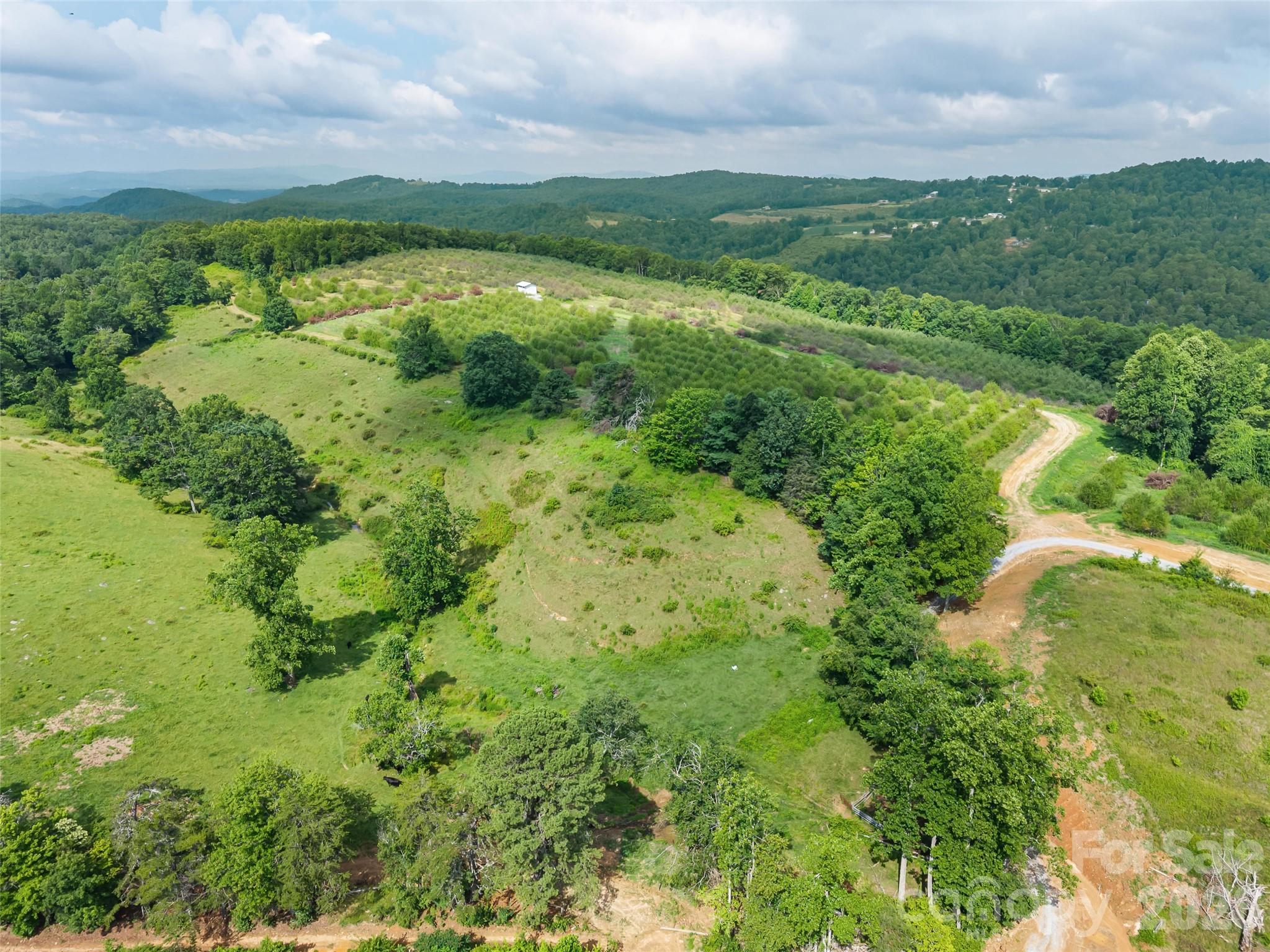 0 Summer Road, Unit 2 Hendersonville, NC 28792 - Photo 15 of 16