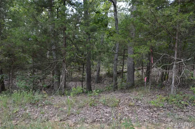 $18,000 | 0 Beach, Ste. Genevieve, MO 63670