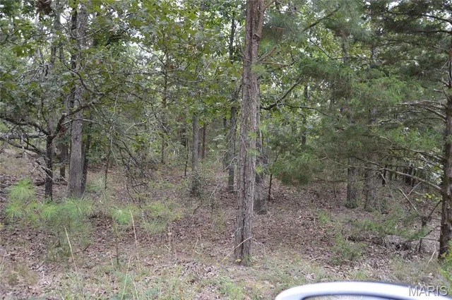 $18,000 | 0 Beach, Ste. Genevieve, MO 63670