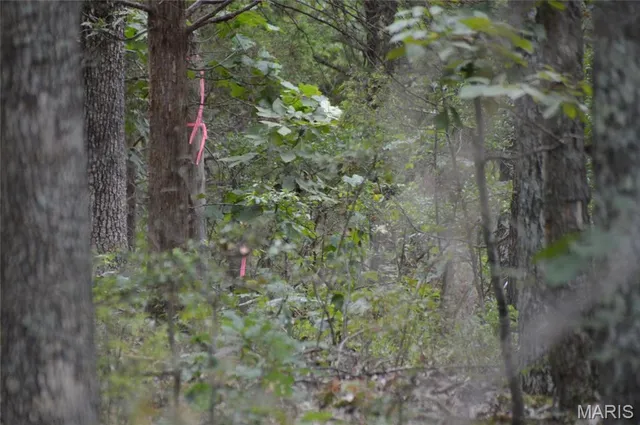 $18,000 | 0 Beach, Ste. Genevieve, MO 63670