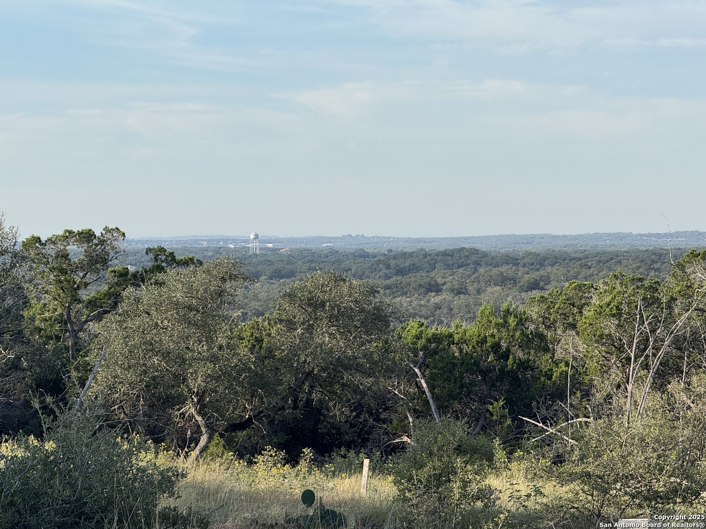 5887 Colin Ridge New Braunfels, TX 78132 - Photo 12 of 21