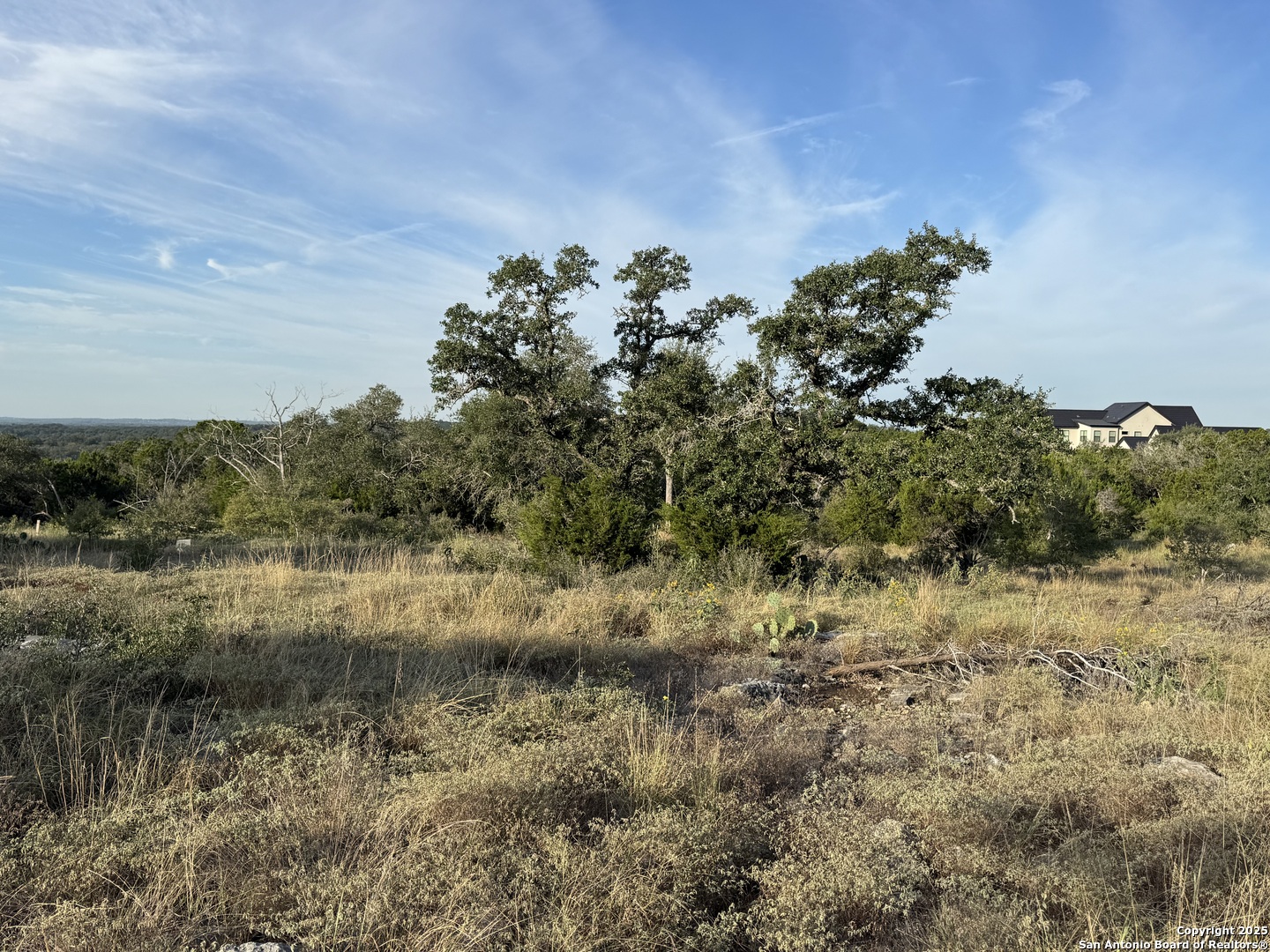 5887 Colin Ridge New Braunfels, TX 78132 - Photo 13 of 21