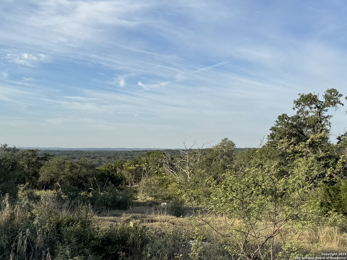 5887 Colin Ridge New Braunfels, TX 78132 - Photo 14 of 21