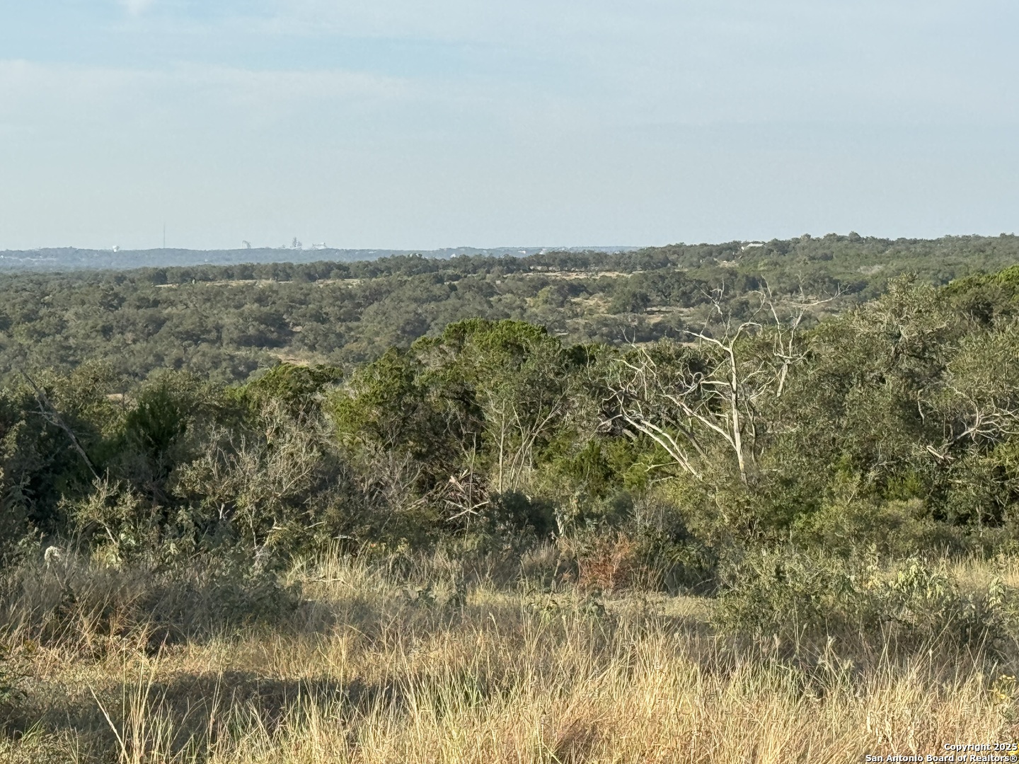 5887 Colin Ridge New Braunfels, TX 78132 - Photo 6 of 21