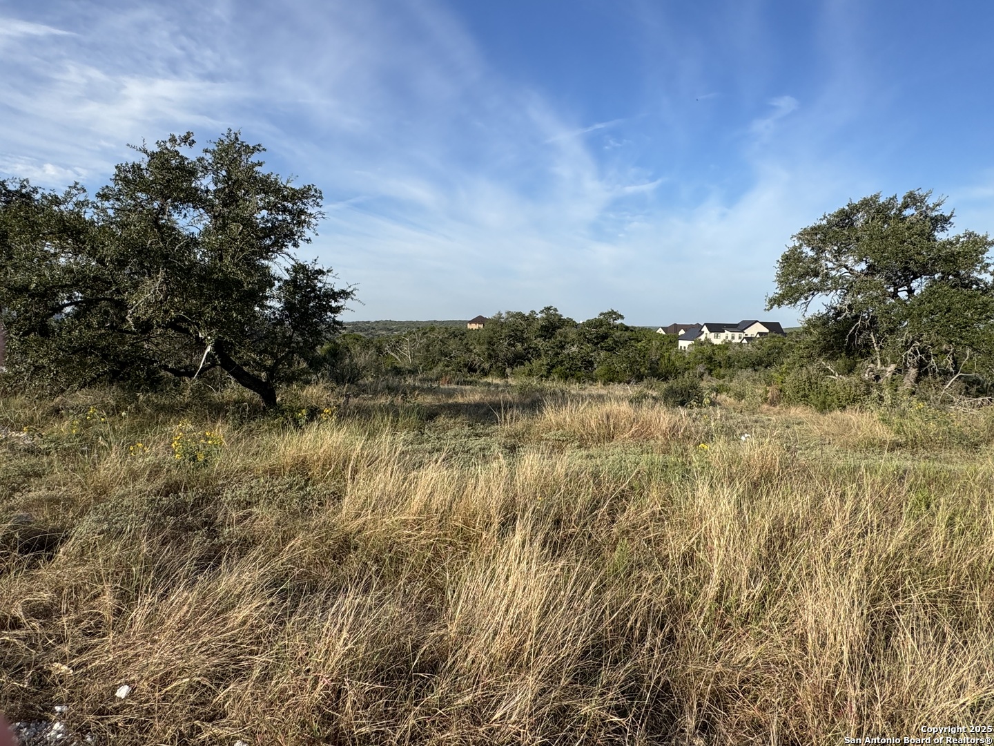 5887 Colin Ridge New Braunfels, TX 78132 - Photo 8 of 21