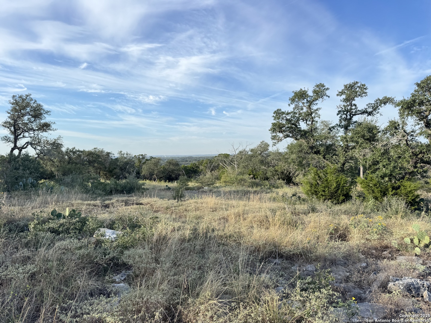 5887 Colin Ridge New Braunfels, TX 78132 - Photo 9 of 21