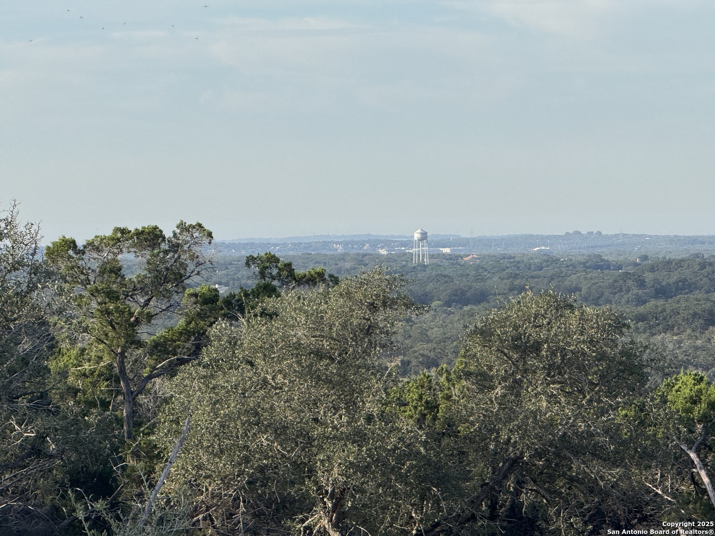 5887 Colin Ridge New Braunfels, TX 78132 - Photo 10 of 21