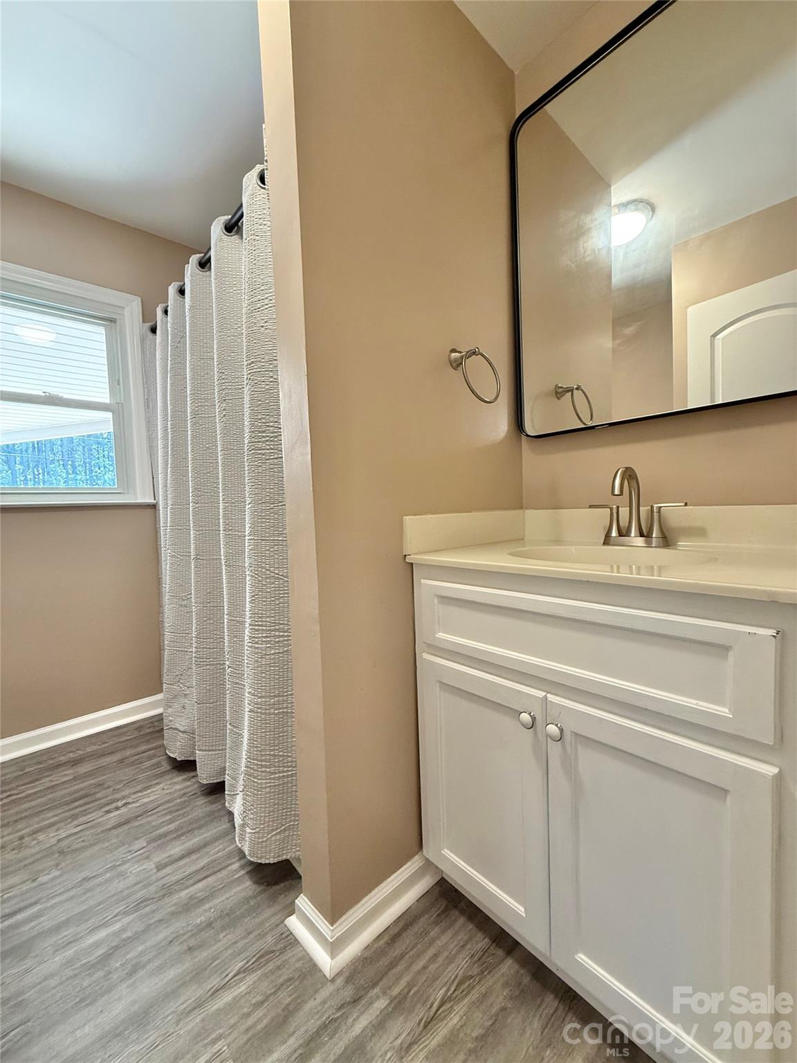 878 Stanback Ferry Road Lilesville, NC 28091 - Photo 17 of 19 a bathroom with a sink and a mirror
