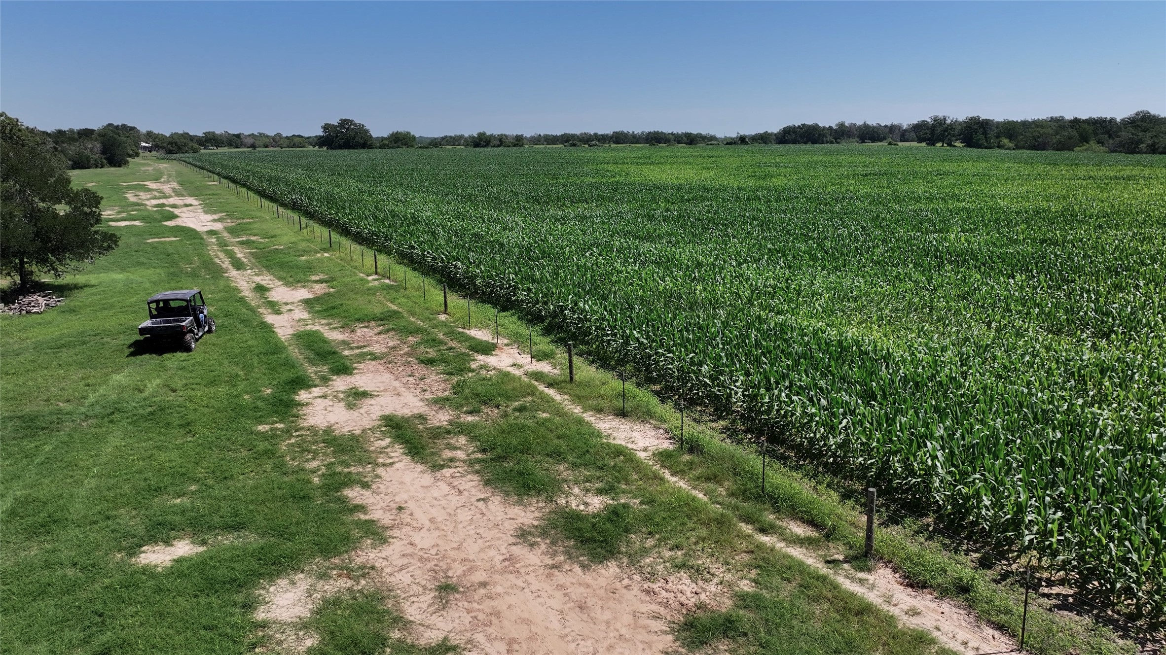 Tbd Warda Church Road Giddings, TX 78942 - Photo 8 of 29
