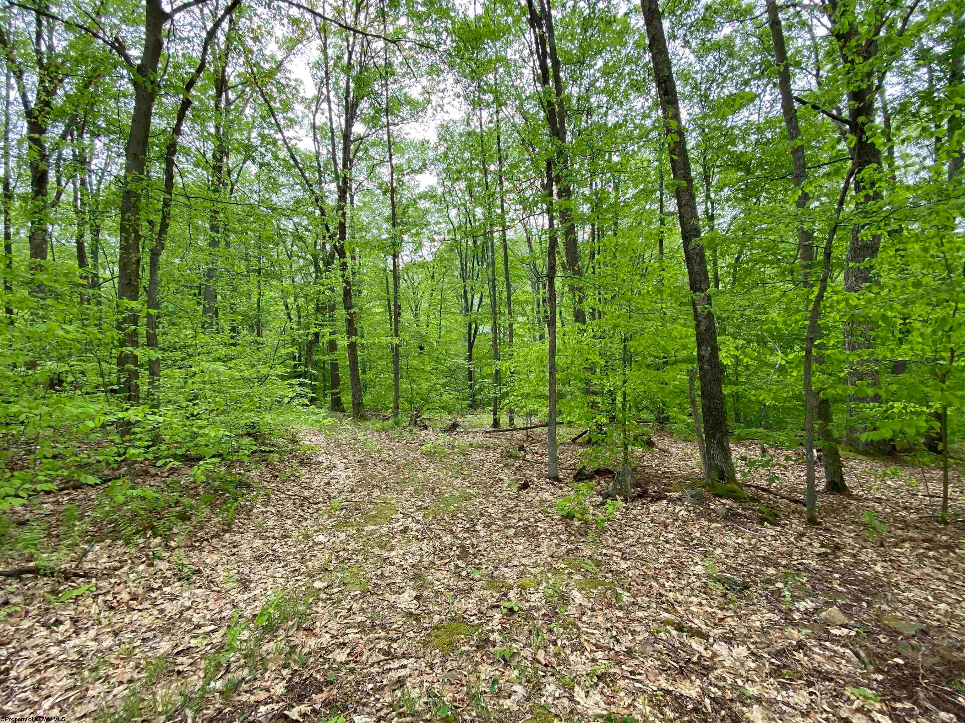 6686 Limestone Road Parsons, WV 26287 - Photo 26 of 28 Gallery Image 26