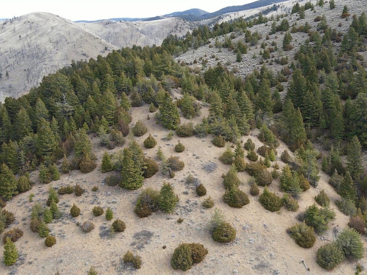 Three Pole Gulch Road Three Forks, MT 59752 - Photo 23 of 27 Aerial view