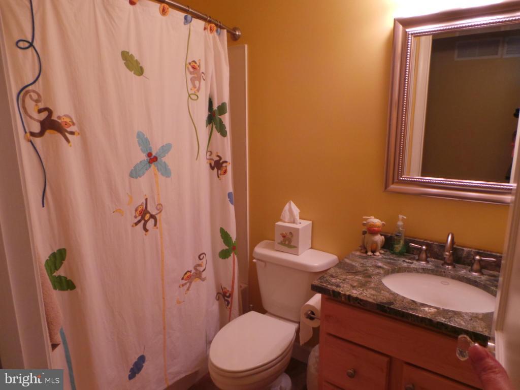 1760 Eppinger Road Berkeley Springs, WV 25411 - Photo 18 of 30 Bath