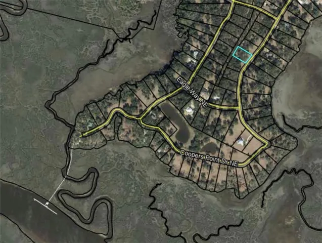 $39,900 | Lot 263 Coopers Point Drive Northeast, Townsend, GA 31331